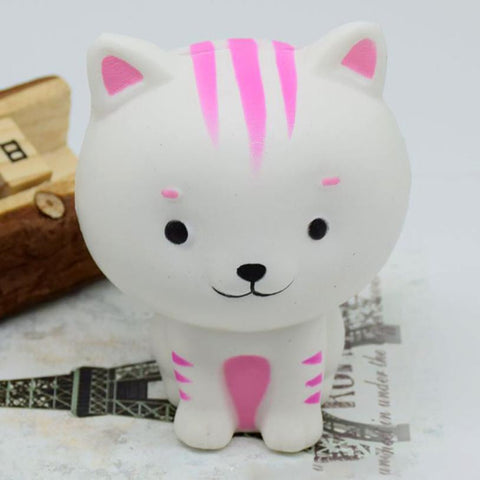 Cute Kitten Squishy